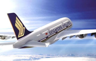 #新加坡航空#新加坡航赚大钱，狂发奖金不手软！