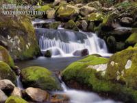 高山流水盼知音_高山流水遇知音