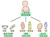 降体脂捷径是空腹燃脂走_脂肪全在腰腹，5个步骤30天内降低体脂，卡路里循环法