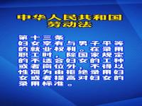 与人相处平等与尊重的事例_平等就业和选择职业的权利举例