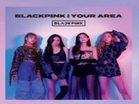 blackpink出道以来一共有多少歌_Blackpink一共有多少本专辑