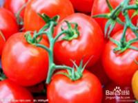 吃西红柿的好处和坏处有哪些_长期吃小番茄的好处和坏处