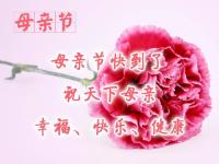 #母亲节红包#伊能静母亲节秀幸福，女儿送花儿子表白，秦昊发8888红包高调示爱