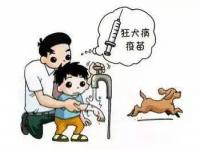 接种狂犬病疫苗为何还会病发_新闻多一度|3岁男童被狗咬伤去世 接种狂犬病疫苗为何还会病发？