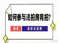 法拍房优先购买人竞拍技巧_我想去卖法拍房怎么找渠道