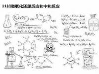 人生知识巅峰果然是高三_哈哈哈哈，高考前是我人生智商的巅峰？