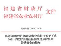 乡镇会计有前途么_广西使用乡村振兴衔接资金做项目可以申请补贴吗