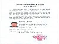 公安有权公开犯罪嫌疑人身份吗_法院被执行人能在公安网上追逃吗