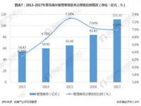 企业实现多元化战略的方式有哪些_什么是市场多元化战略