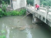 都市天际线水坝怎么运营_建水坝之前怎么拦住水