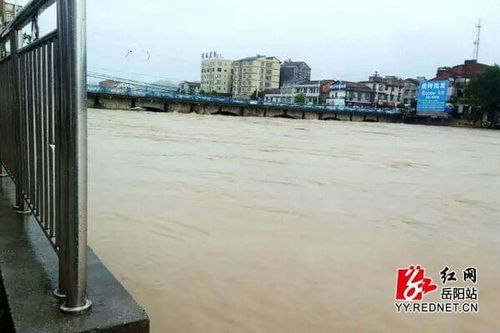 #平江特大暴雨#特稿丨凝心聚力！平江众志成城抗击特大洪水