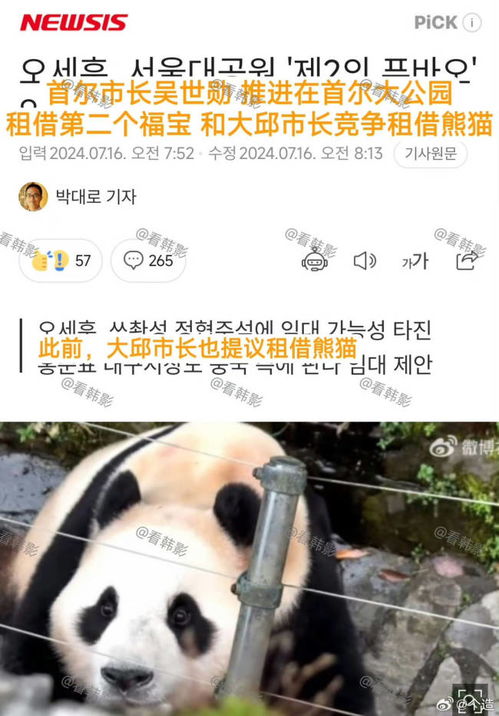 首尔市长请求向中国租借大熊猫_韩国人声势浩大四处维权，让中国归还福宝！我国居然有人支持？