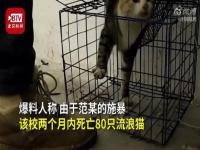 武汉理工大学通报学生虐猫_武汉理工大学通报学生虐猫：将严肃处理