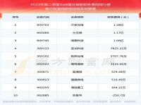 氮化镓芯片公司排名_全国第三代半导体专利排名