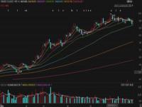 高端制造业股票有哪些分为几大类_湖南精飞集团公司是上市公司吗