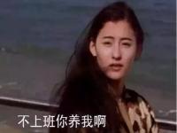 小鹿 结婚真的很伤感情_喜剧之王单口季：小鹿披婚纱登台，付航靠疯炸场，鑫仔令人失望