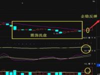 神火集团归属_神火股份生产金属镓吗