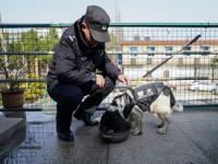 民警陪警犬完成最后一次巡边_警犬巡逻 护夏有责