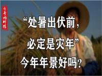 #今日出伏#今日出伏，提醒老年人有空没空，记得：1坐、2不丢、3要吃、4不问