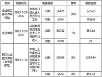 2024的社保缴费是多少_怎么查询2024社保缴费成功