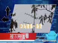 房改房父母死后谁继承_房改房继承过户最新政策