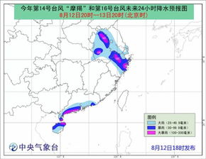 秋台风摩羯过境后被截断的生计_最强秋台风“摩羯”过境：吹成“毛坯”的家与被截断的生计