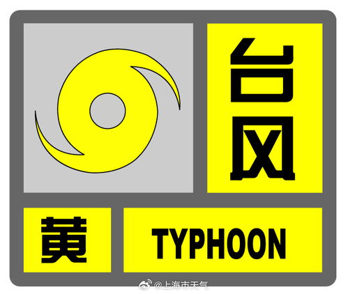 上海四区升级发布台风黄色预警_预警升级！上海四区发布台风黄色预警信号