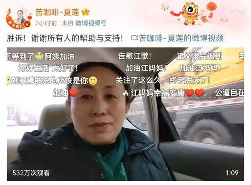 江歌妈妈不服判决准备上诉_江歌案驳回背后，江母下一步怎么走？