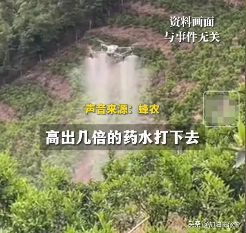 镇政府回应蜂农300万只蜜蜂死亡_河南嵩县300万只蜜蜂突然死亡 官方回应