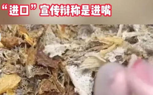 黑燕窝岂能卷土重来_亚硝酸盐最高超标百倍，“黑燕窝”岂能卷土重来 | 新京报快评