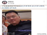 辛巴也是三只羊公司的么_三只羊网络董事长是谁