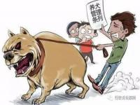 女子被恶犬追逐摔伤饲养人担责_湖南祁东：被未拴绳宠物犬追赶，女童摔倒骨折，饲养人承担全部责任