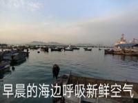 烟台市区哪个地方最好玩_烟台市区哪里可以赶海