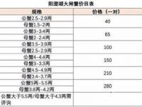 阳澄湖大闸蟹多大一只_大闸蟹多少钱一公斤，大闸蟹时价详情