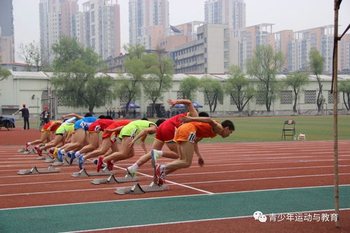 男大体育生国庆陪爬泰山情绪感拉满_大学生陪爬泰山价格从400卷到40