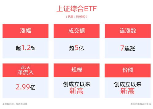 我国加力推出增量政策重点在五方面_国家加力推出一揽子增量政策！具体有五方面内容