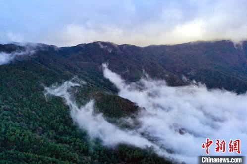 不要模糊哀牢山禁区与景区的边界_哀牢山爆火，别把“禁区”当“景区”