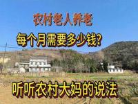 农村养老金60岁以上每月多少钱_80岁老人农村养老金一共一年是多少