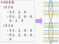 24芯光纤熔接顺序_光纤交叉熔接顺序