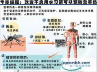 登革热病在中国从什么时候开始的，以前有_昆明是登革热的高发区吗