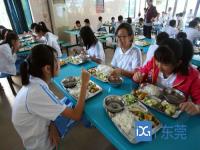 学校配餐用的塑料饭盒有毒吗_大学食堂吃出异物的处罚