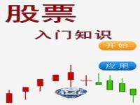 初学者炒股入门20个基础知识_初学炒股步骤