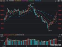 2014年上证指数年底大涨什么意思_上证指数大涨的原因