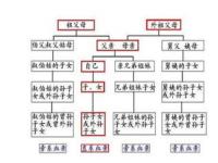 罗宜宁和罗慎远是亲兄妹吗_锦绣安宁杀青了吗