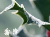 霜降节气的传统习俗有哪些_霜降节气有哪些传统习俗