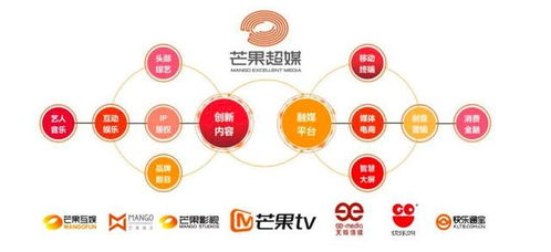 芒果TV会员数增近600万_麦琳爆火后，芒果TV数据公布：会员数同比增近600万至7171万