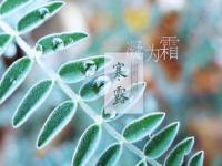 寒露节气是哪天_2023年寒露是什么时间