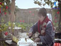 李子柒视频创作背景_李子柒是怎么火起来的