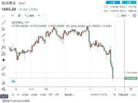 金价突然下跌的原因_当天的金价怎么查询