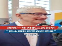 库克称没中国就没现在的苹果_苹果公司CEO库克首次现身链博会 称没中国就没现在的苹果